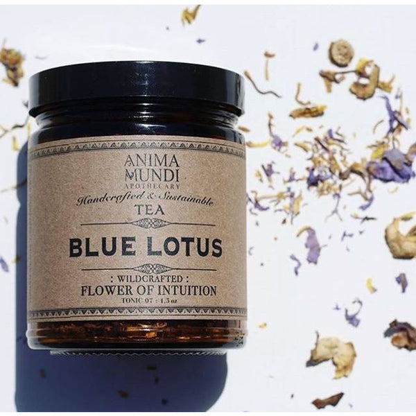 Blue Lotus - Flower of Intuition Tea Anima Mundi - La Flora Sagrada